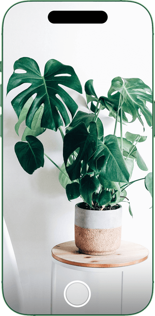 Computer vision recognizing plants